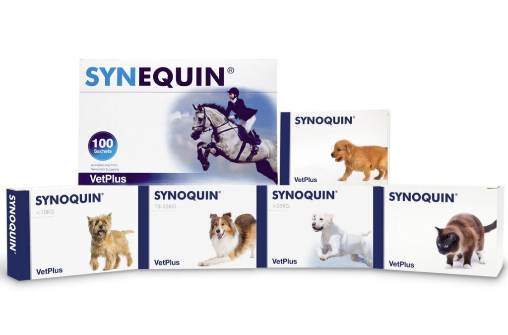 Synoquin Group