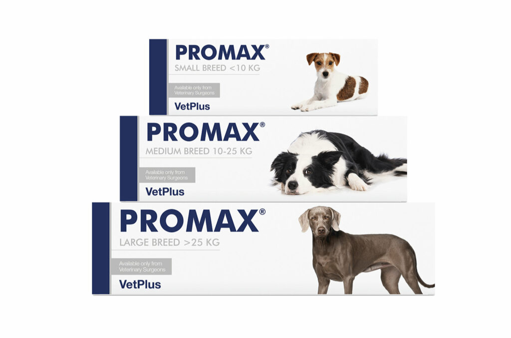 Úvodni Produkty