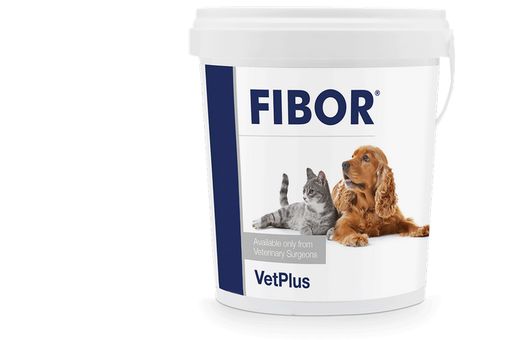 Fibor