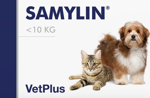 Samylin